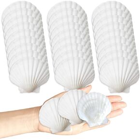 30Pcs Seashells for Crafts,Scallop Shells for Beach Decoration,2-3In Seashells for DIY Craft Painting，White Sea Shells for Beaching Wedding,Party,Home Decoration