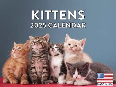 Funny Cat Calendar 2025 Meowlarious Cats Monthly Wall Calender 12 Month in Saudi Arabia