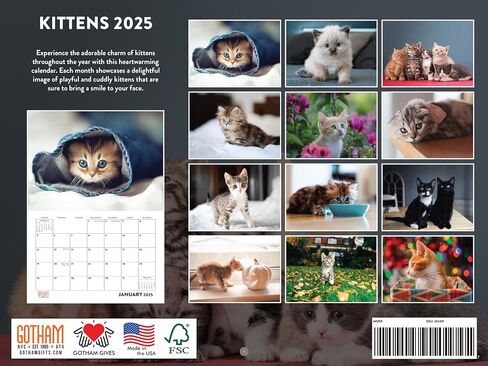 Funny Cat Calendar 2025 Meowlarious Cats Monthly Wall Calender 12 Month in Saudi Arabia