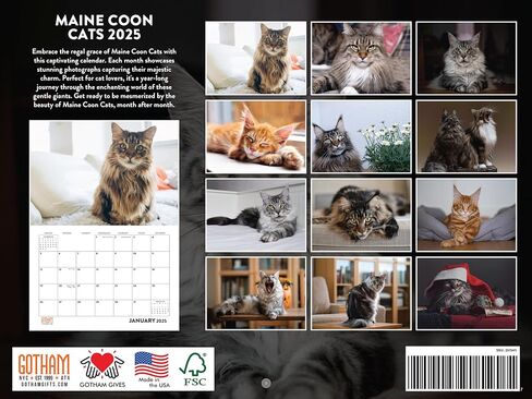Funny Cat Calendar 2025 Meowlarious Cats Monthly Wall Calender 12 Month in Saudi Arabia