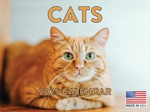 Funny Cat Calendar 2025 Meowlarious Cats Monthly Wall Calender 12 Month in Saudi Arabia