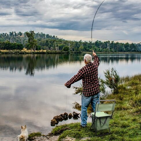 كرسي تخييم محمول قابل للطي مع حقيبة تبريد مع مسند ظهر ومقعد صيد وحقيبة ظهر لصيد الأسماك والمشي لمسافات طويلة والصيد (مموهة) in Kuwait