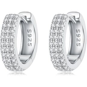 Cycuff 925 Sterling Silver Hoop Earrings Colorful Cubic Zirconia Jewelry Earrings for Women Teen Girls Set Earring Gifts for Her (Simple Heart Earrings)