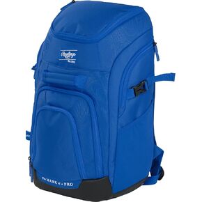 Rawlings | FRANCHISE 2.0 Player's Backpack | Baseball/Softball | Rec/Travel | Multiple Styles