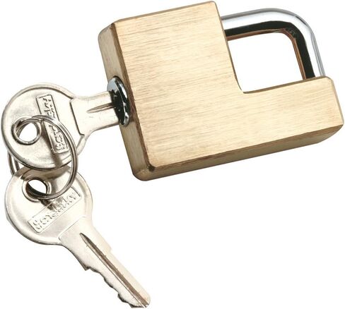 Reese Towpower 7005800 Gorilla Guard Stainless Steel Coupler Lock in Saudi Arabia