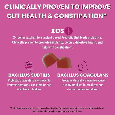 Llama Naturals Real Fruit Prebiotic & Probiotic Gummies for Adults, No Added Sugar Cane, Vegan Organic Synbiotics, Digestive Support, Women & Men Gut Health, 5B CFU, 120 ct (60 Days) Mixed Berry in Saudi Arabia