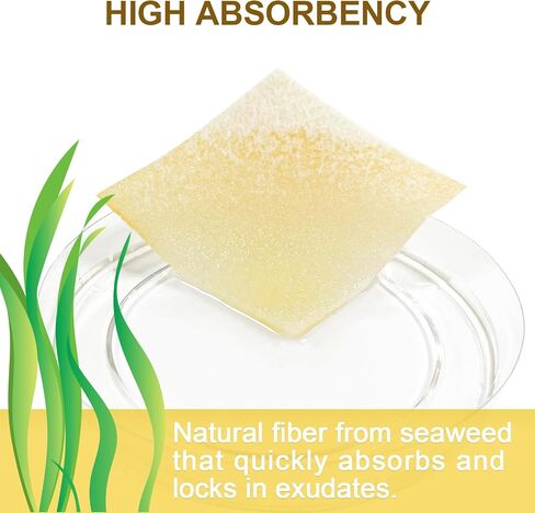 Manuka Honey Gauze Wound Dressing 2" x 2",10 Pack Manuka Honey Wound Care Pads, Medical Grade Honey Bandages for Wound Care, Honey Patch for Faster Healing from Burns,Abrasions,Cuts and Scalds in Saudi Arabia