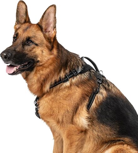 No Pull Comfort Harness - Medium in Saudi Arabia