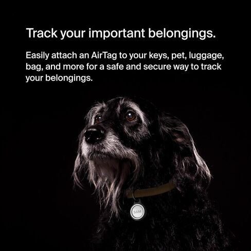 حامل آمن من Belkin Apple AirTag مع حلقة مفاتيح - جراب متين مقاوم للخدش مع حواف مرتفعة مفتوحة - ملحق سلسلة مفاتيح AirTag الواقية للمفاتيح والحيوانات الأليفة والأمتعة وحقيبة الظهر - 4 عبوات باللون الأزرق المتدرج in Kuwait