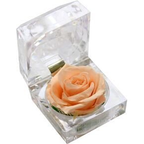 Preserved Flower Box, Single Rose Never Withered Bixes Preserved Real Rose for Wedding Decoration Birthday (Yellow)
