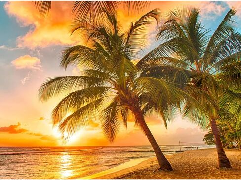 Lxmsja Beach Ocean Diamond Art Painting Kits for Adults, 5D DIY Full Drill Round Gems Arts and Crafts, Diamond Art Sunset for Gifts Leisure Wall Decoration 12X16inch in Saudi Arabia