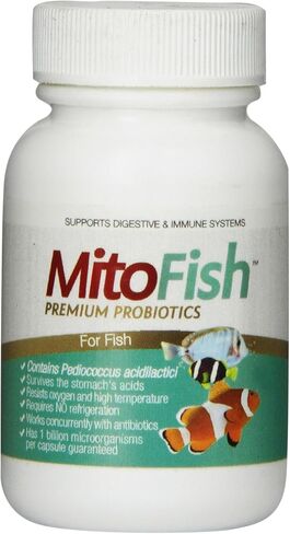 MitoFish Premium Pediococcus Based Probiotics and Prebiotics for Fish, 15 Capsules Per Bottle in Saudi Arabia