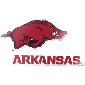 Desert Cactus University of Arkansas Stickers Razorbacks U of A Hogs Vinyl Decal Laptop Water Bottle Car Scrapbook 11x8 Sheet (4 Inch Set V1)