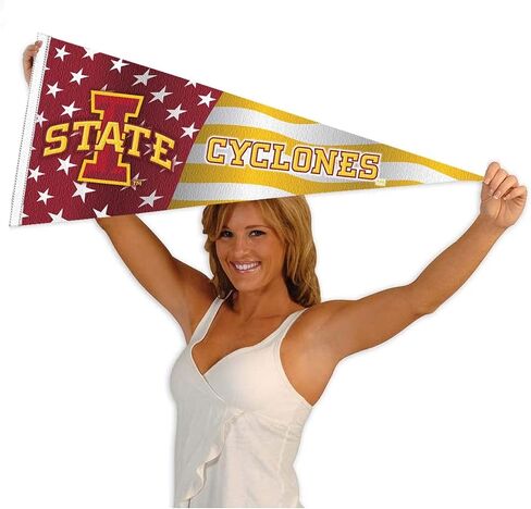 Iowa State Cyclones Nation USA Stars and Stripes Pennant Pennant Banner Flag in Saudi Arabia