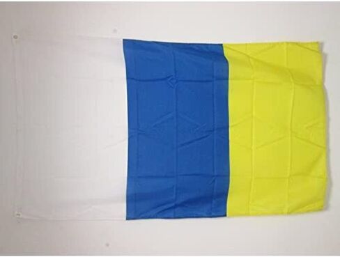 AZ FLAG - علم جزر الكناري - 2x3 قدم - لافتة منطقة الكناري الإسبانية من البوليستر 100D مع حلقتين معدنيتين - مقاومة للبهتان - ألوان زاهية - 2 × 3 قدم - 90 × 60 سم in Saudi Arabia