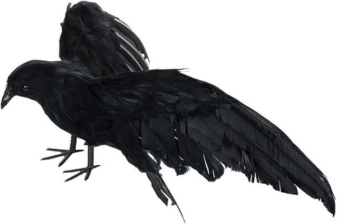 الهالوين الاصطناعي الغراب الأسود الطيور الغراب الدعامة الديكور مخيف للحزب الحدث عطلة عيد الميلاد الحرف الإبداعية ديكور المنزل DIY ديكور عطلة (أسود، 12 بوصة) in Kuwait