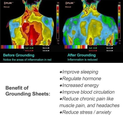 Grounding Sheet for Sleeping, Conductive Silver Fiber Grounding Mat with 15 ft. Grounding Cord, Grounding Sheets for Better Sleeping and Pain Relieving (27x52 inch) Grey in Saudi Arabia