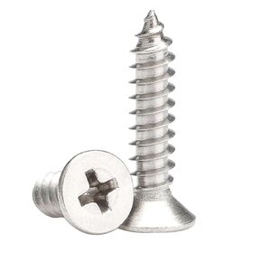 M5 x 10mm Self Tapping Screws, Phillips Flathead 304 Stainless Steel Screws, Fasteners Bolts for Plastic Wood Furniture and Drywall 50 Pcs