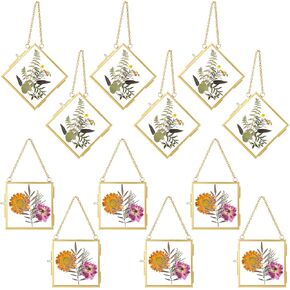 12 Pcs Double Glass Frame for Pressed Flower Floating Frame Clear Hanging Photo Frame with Chain for Display Gallery Artwork Horizontal Vertical Gold Metal Rectangle Wall Decor (3 x 3 Inch)
