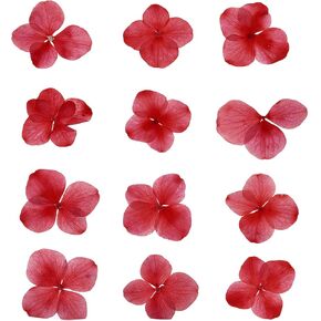 PATIKIL Dried Pressed Flower, 48 Pcs for Resin DIY Crafts Nail Art Cards Scrapbooking Jewelry Making Floral Decor Candle Decors, Red