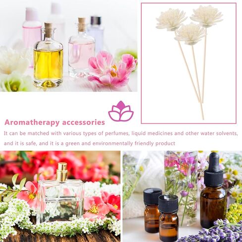 100pcs Flower Diffusers for Home Aromatherapys Reed Flowers Placement Refill Oil Aroma Diffuser Fragrance Flowers White in Saudi Arabia