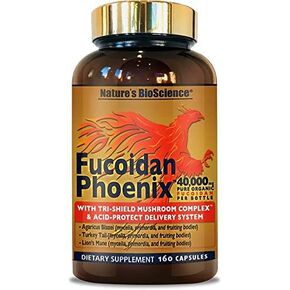 Nature's Bioscience ® FUCOIDAN Phoenix Advanced: 40,000 mg of Pure Organic Fucoidan + 64,000 mg of Pure Mushroom