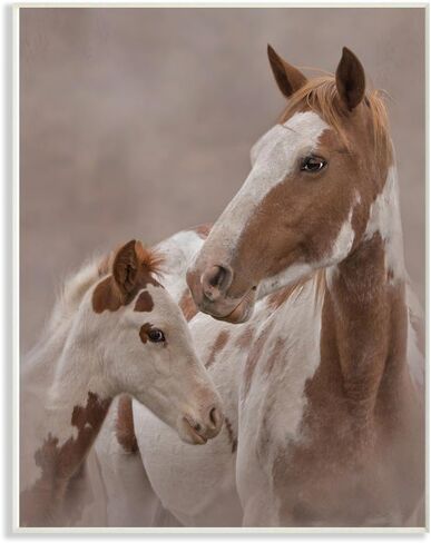 Stupell Industries Horse Family Photograph Canvas Wall Art, 30 x 40, Multi-Color in Saudi Arabia