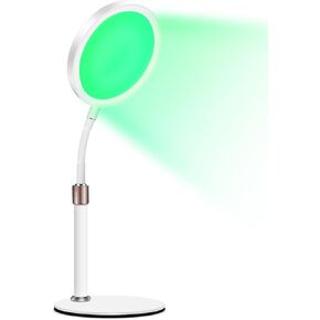 Light Therapy Lamp, Green Desk Lamp with Adjustable 10 Brightness Levels &Timer Function and for Office/Home or Apartment