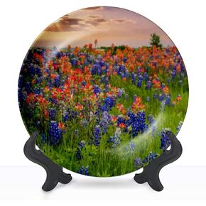 Decorative Plates texas bluebonnets indian paintbrush wildflower field blooming in Wall Decor Ceramic Ornament with Display Stand and Hook Up for Festival, Parties, Wedding 8", Collector Plate