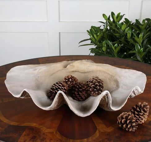 Clam - 22.88 inch Shell Bowl - 22.88 inches wide by 13.38 inches deep in Saudi Arabia