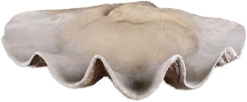 Clam - 22.88 inch Shell Bowl - 22.88 inches wide by 13.38 inches deep in Saudi Arabia