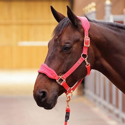 Shires ARMA Comfy Fleece Headcollar in Kuwait