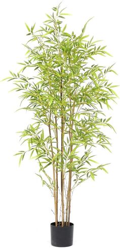 Bamboo Tree Artificial 5FT, Artificial Bamboo Tree with Real Trunk and Lifelike Leaves, Faux Bamboo Plants for Home Decor Indoor, 1 Pack in Saudi Arabia
