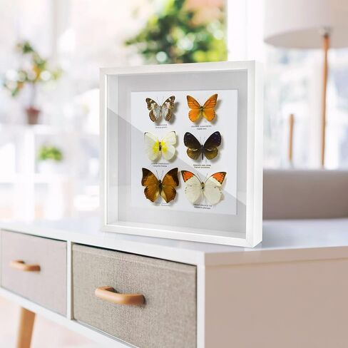 Baby Memories Shadow Box Frame with Mat, for 8x10 Pictures, in White Large Pictures Frame with Engineered Wood and Real Glass for Wall or Tabletop Display,11x14 in Saudi Arabia