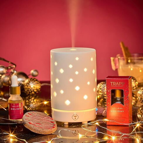 زيت ناشر الروائح بالموجات فوق الصوتية من تراب 0.5 أونصة - عطلة - زيت معطر موسمي لموزع الروائح العطرية بالموجات فوق الصوتية - روائح القرفة والزنجبيل وفانيليا بوربون in Kuwait