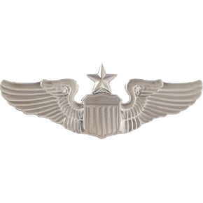 EagleEmblems P16062 Wing-USAF,Pilot,Senior (3'')
