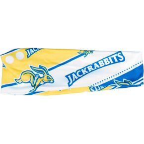 Littlearth NCAA Pittsburgh Panthers Stretch Headband