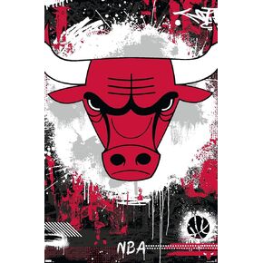 Trends International NBA Chicago Bulls - Maximalist Logo 23 Wall Poster