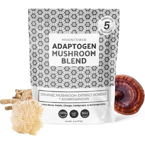 Organic Mushroom Extract Blend - Mushroom Blend Powder with Lion's Mane, Reishi, Chaga, Cordyceps & Ashwagandha - Sugar-Free Immune Support, 113 Servings