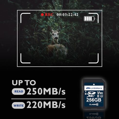 LinkMore SD Card 64GB Compatible with Camera, PC, UHS-I, U3, V30, Class 10, Read Speed Up to 100 MB/s, Write Speed Up to 50MB/s in Saudi Arabia