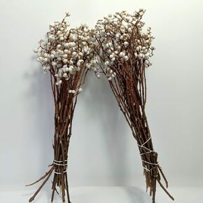 Tallow Berries Dried,Natural Stem Wedding Floral Décor - Long Stem