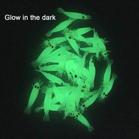 طعوم صيد بلاستيكية ناعمة من QualyQualy طُعم صناعي متوهج طُعم جمبري ديدان طُعم صيد الجليد من أجل Crappie Walleye Bass Trout 54 قطعة/50 قطعة in Kuwait