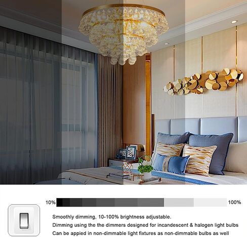 G9 Bulb 40W, 12 Pack G9 Halogen Light Bulbs 2 Pin Base T4 JCD Type 120V Xenon Small Light Bulb for Chandeliers, Range Hood Light, Bathroom Light Bulbs, Cabinet Lights, Dimmable, 2700K Warm White in Kuwait