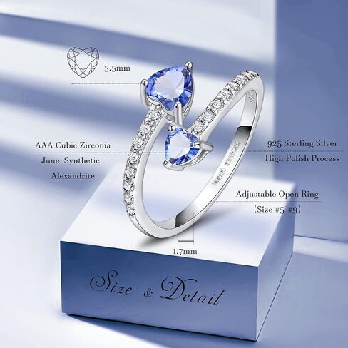 FOREVER QUEEN Birthstone Rings 925 Sterling Silver Rings Adjustable Open Double Love Heart Stones Rings for Women Girls Birthday Gift in Saudi Arabia