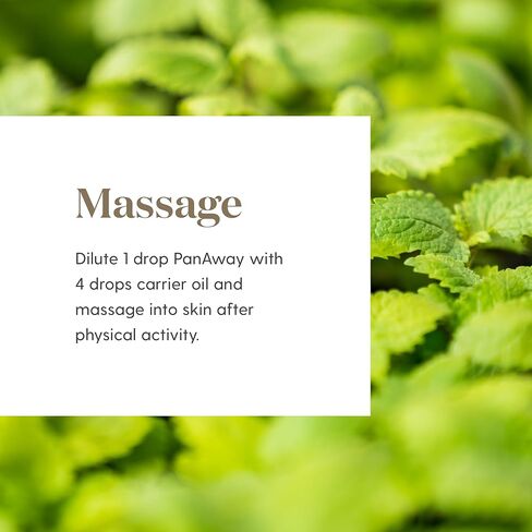 يونج ليفنج - مزيج الزيوت العطرية بان أواي 5 مل | يخلق إحساسًا بالبرودة والتهدئة لاستعادة العضلات | راحة ما بعد التمرين | دعم النشاط البدني in Kuwait