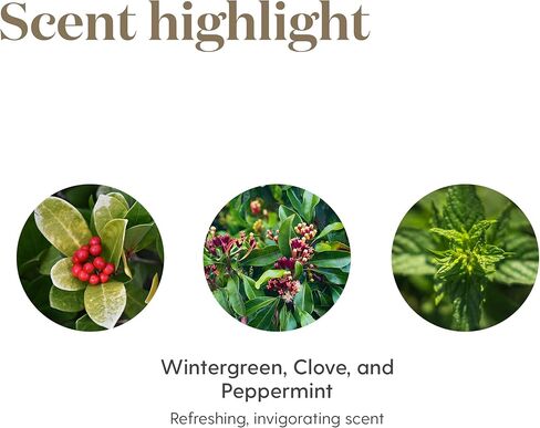 يونج ليفنج - مزيج الزيوت العطرية بان أواي 5 مل | يخلق إحساسًا بالبرودة والتهدئة لاستعادة العضلات | راحة ما بعد التمرين | دعم النشاط البدني in Kuwait