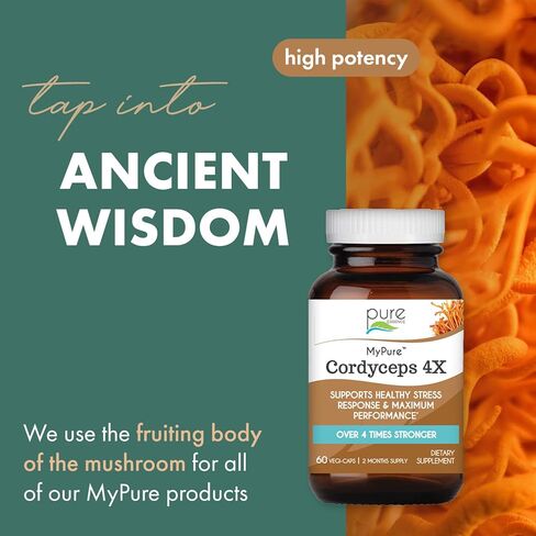 PURE ESSENCE LABS MyPure Cordyceps 4X Mushrooms - Concentrated Cordyceps Mushroom Powder Supplements for Immune System, Stress Response, Physical & Mental Performance - 1 Month Supply in Saudi Arabia