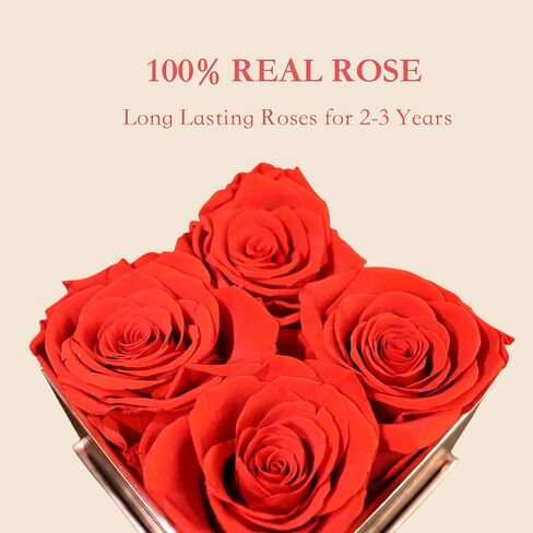 Zangwill Preserved Roses in a Box,Real Roses That Last Up to 3 Years,Long Lasting Roses, Handmade,The for Valentine's Day,Christmas,Weddings,Birthday,Mother's Day (Radiant Pink) in Saudi Arabia