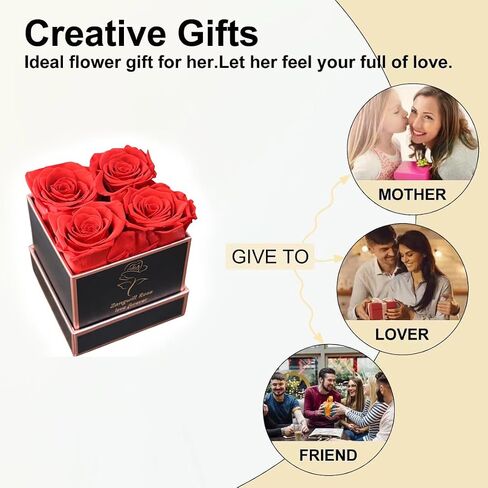 Zangwill Preserved Roses in a Box,Real Roses That Last Up to 3 Years,Long Lasting Roses, Handmade,The for Valentine's Day,Christmas,Weddings,Birthday,Mother's Day (Radiant Pink) in Saudi Arabia