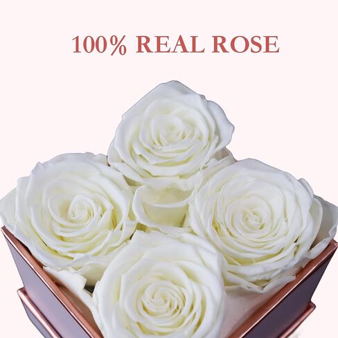 Zangwill Preserved Roses in a Box,Real Roses That Last Up to 3 Years,Long Lasting Roses, Handmade,The for Valentine's Day,Christmas,Weddings,Birthday,Mother's Day (Radiant Pink) in Saudi Arabia